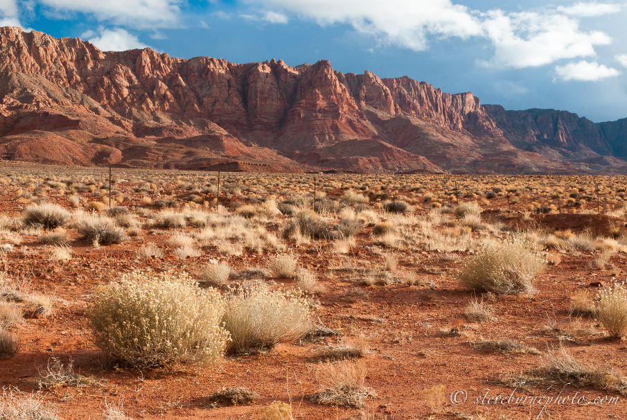 American Desert 11_905